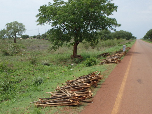 More wood for sell.